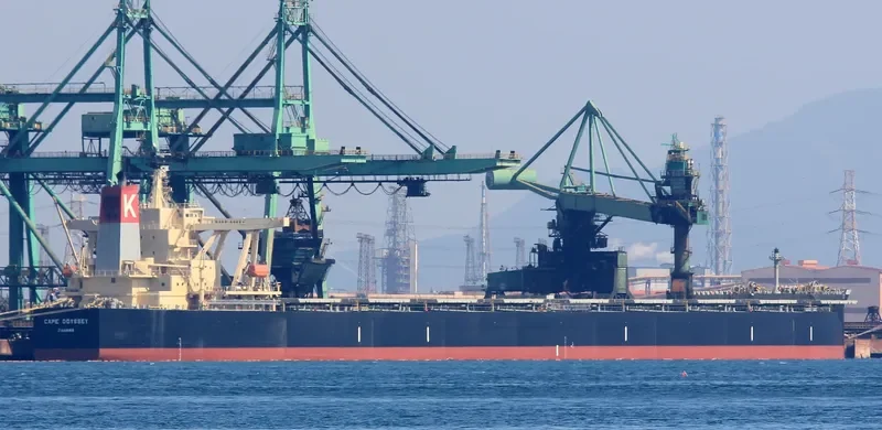 CAPE ODYSSEY Bulk Carrier IMO 9398163 photo 5