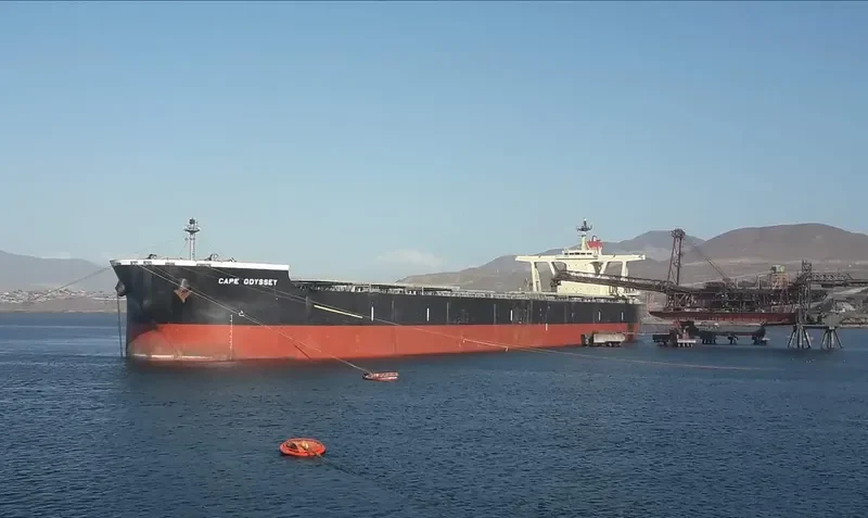 CAPE ODYSSEY Bulk Carrier IMO 9398163 photo 9