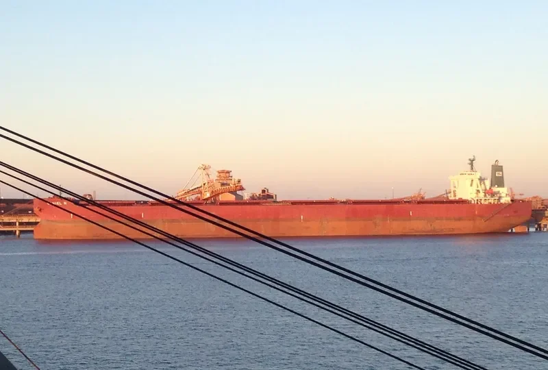 DANIEL N Bulk Carrier IMO 9398175 photo 2