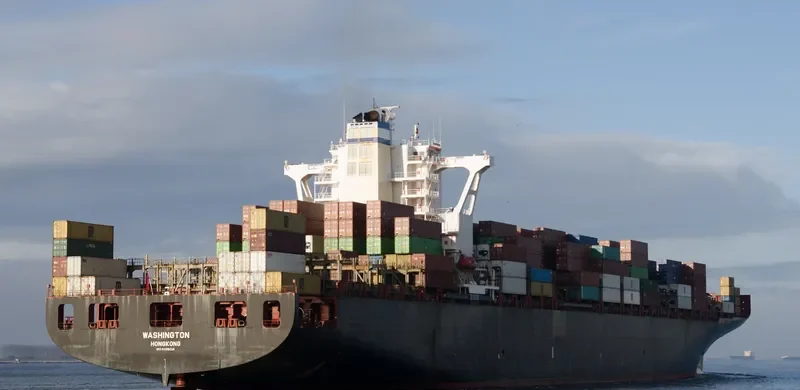 MSC ANTONIA Container Ship IMO 9398216 photo 2