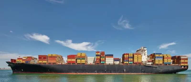 MSC ANTONIA Container Ship IMO 9398216 photo 8