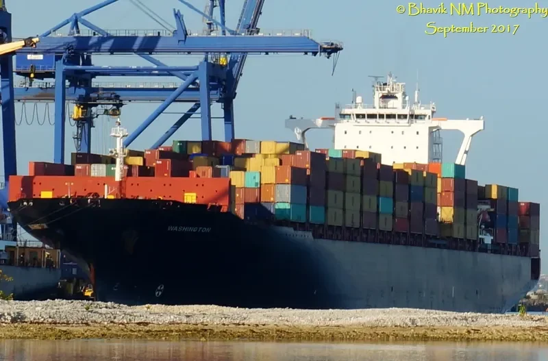 MSC ANTONIA Container Ship IMO 9398216 photo 10
