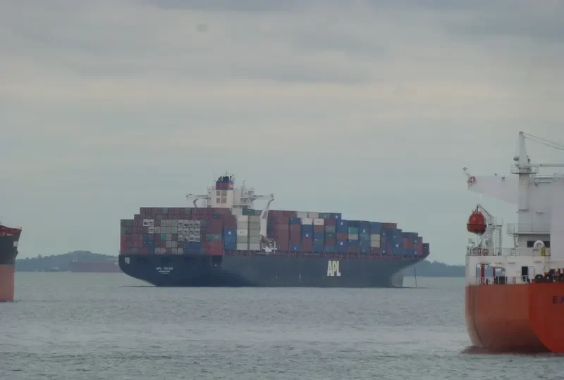 MSC NOA Container Ship IMO 9398228 photo 2