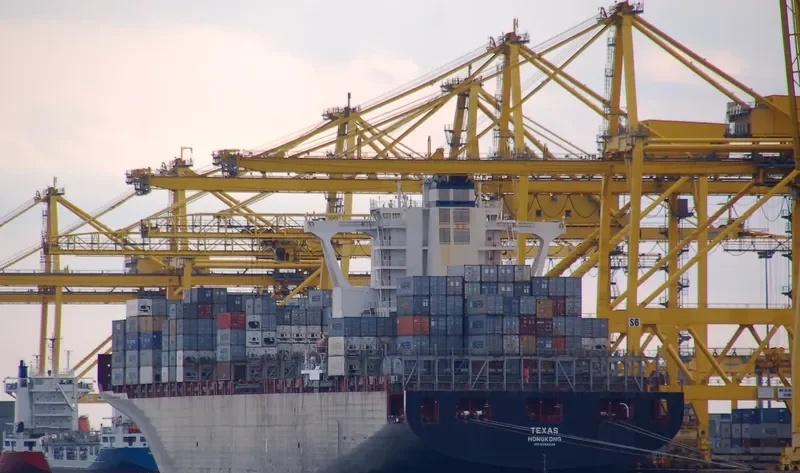 MSC NOA Container Ship IMO 9398228 photo 5