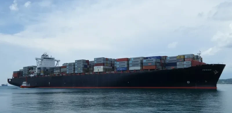MSC NOA Container Ship IMO 9398228 photo 7