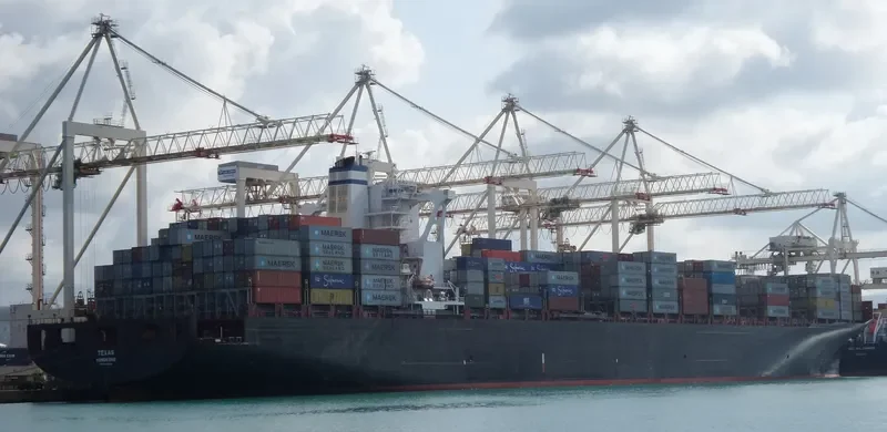 MSC NOA Container Ship IMO 9398228 photo 9