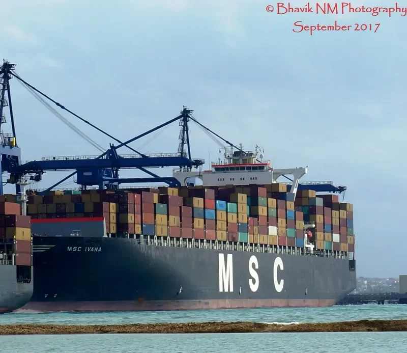 MSC IVANA Container Ship IMO 9398371