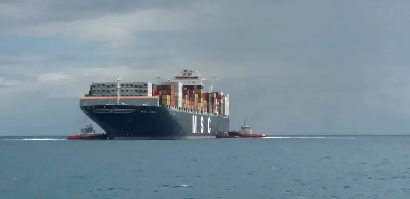 MSC IVANA Container Ship IMO 9398371 photo 3