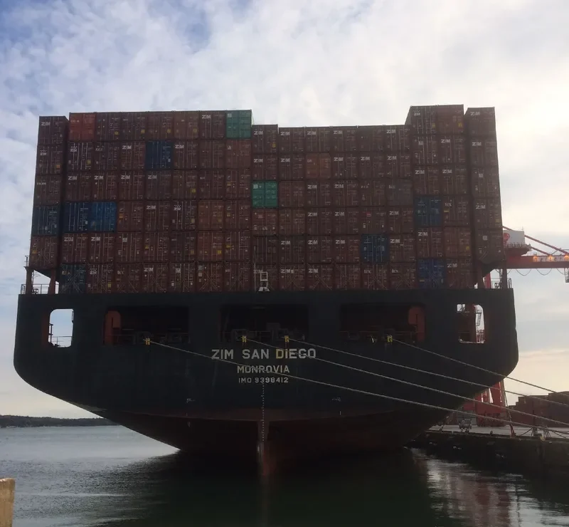 ZIM SAN DIEGO Container Ship IMO 9398412