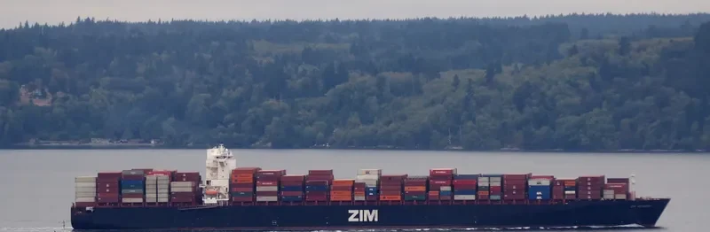 ZIM ANTWERP Container Ship IMO 9398448 photo 5