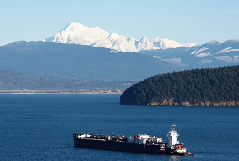 GULF RELIANCE General Cargo IMO 9398474 photo 7