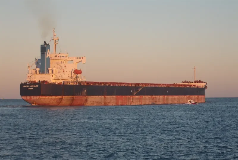 DIMITRIS A Bulk Carrier IMO 9398656 photo 2