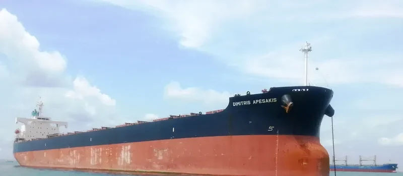 DIMITRIS A Bulk Carrier IMO 9398656 photo 3