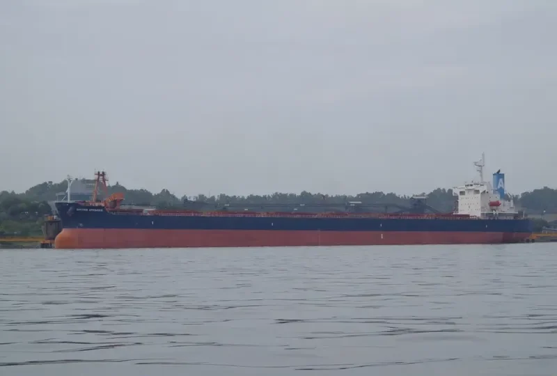 DIMITRIS A Bulk Carrier IMO 9398656 photo 6