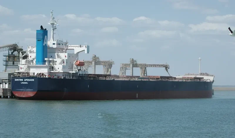 DIMITRIS A Bulk Carrier IMO 9398656 photo 7
