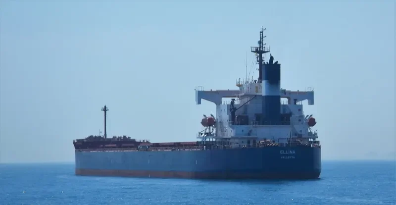 ELLINA Bulk Carrier IMO 9398668 photo 2