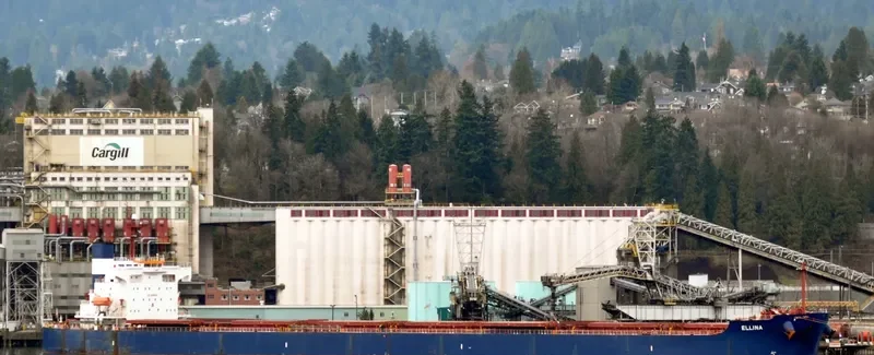 ELLINA Bulk Carrier IMO 9398668 photo 3