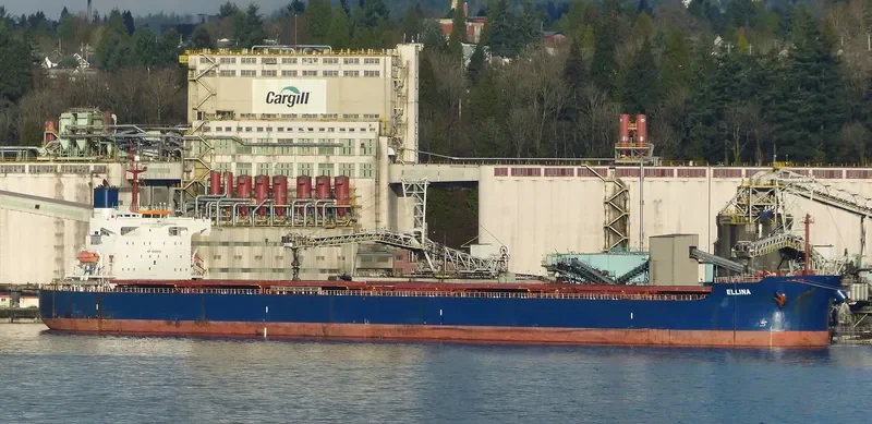 ELLINA Bulk Carrier IMO 9398668 photo 4