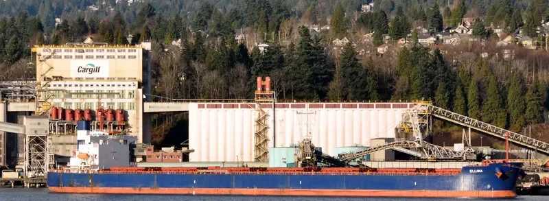 ELLINA Bulk Carrier IMO 9398668 photo 6