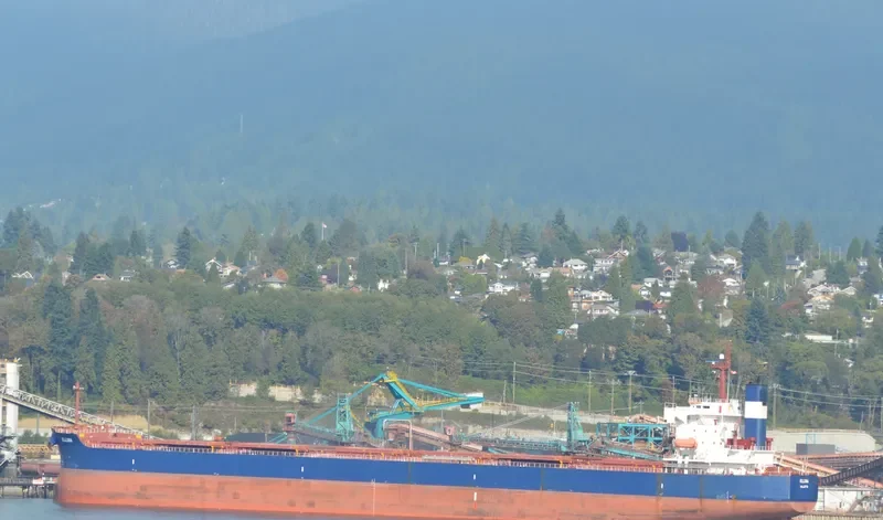 ELLINA Bulk Carrier IMO 9398668 photo 7