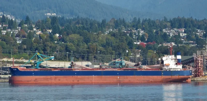 ELLINA Bulk Carrier IMO 9398668 photo 8
