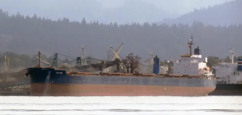 ELLINA Bulk Carrier IMO 9398668 photo 9