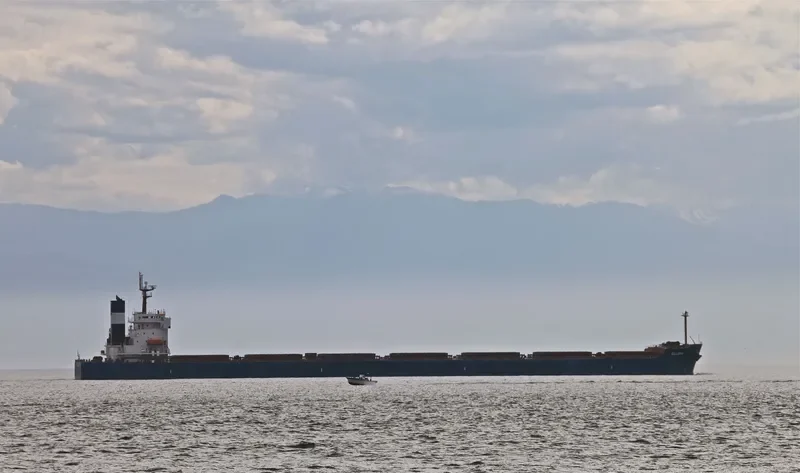 ELLINA Bulk Carrier IMO 9398668 photo 10