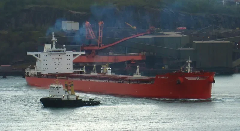 BRAVERUS Bulk Carrier IMO 9398682 photo 6