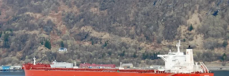 BRAVERUS Bulk Carrier IMO 9398682 photo 7