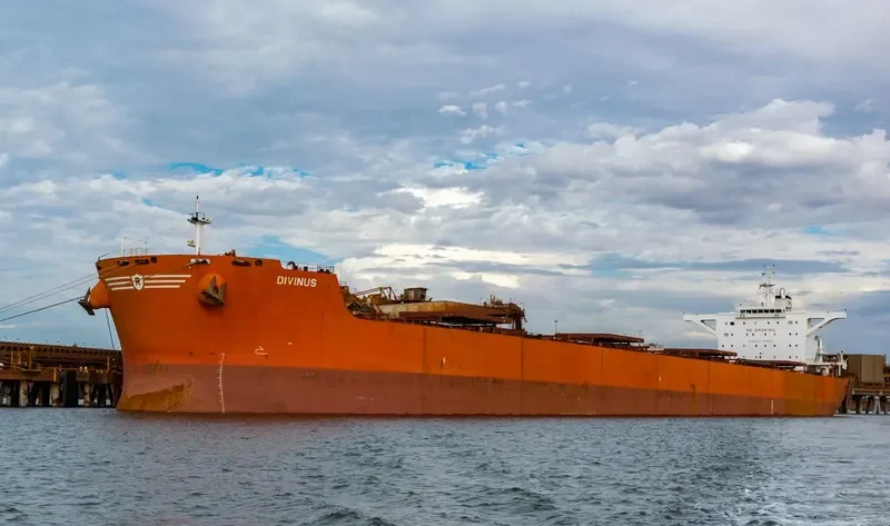 DIVINUS Bulk Carrier IMO 9398711