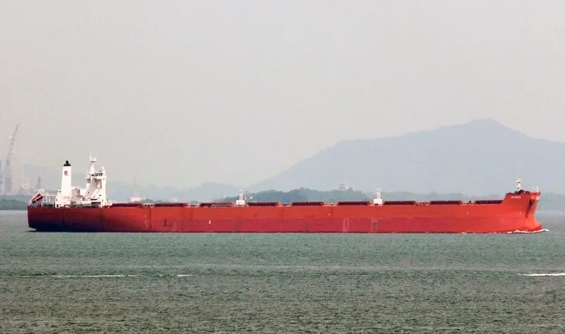 DIVINUS Bulk Carrier IMO 9398711 photo 2