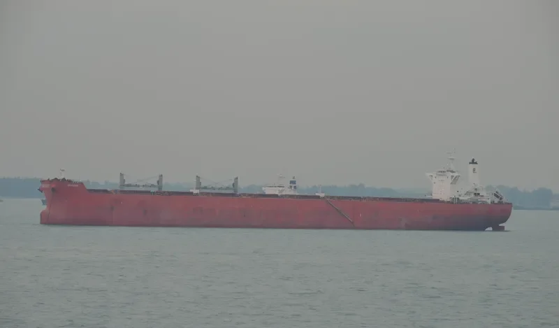 DIVINUS Bulk Carrier IMO 9398711 photo 3