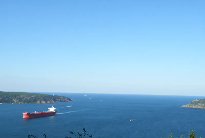 DIVINUS Bulk Carrier IMO 9398711 photo 5