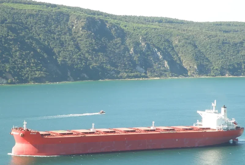DIVINUS Bulk Carrier IMO 9398711 photo 6