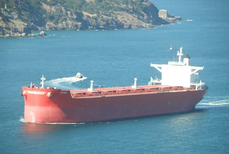DIVINUS Bulk Carrier IMO 9398711 photo 7