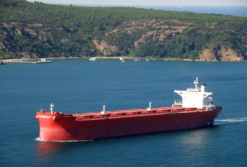 DIVINUS Bulk Carrier IMO 9398711 photo 8