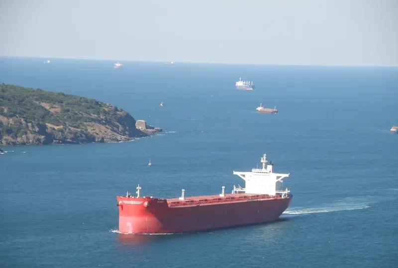 DIVINUS Bulk Carrier IMO 9398711 photo 9