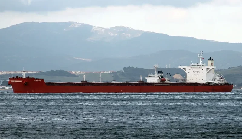 FURIOUS Bulk Carrier IMO 9398735 photo 2