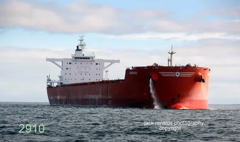 GENIUSHIP Bulk Carrier IMO 9398759 photo 4