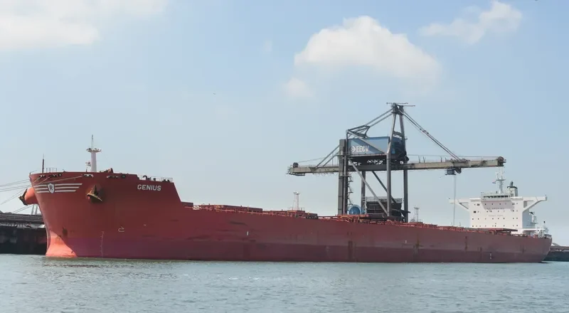 GENIUSHIP Bulk Carrier IMO 9398759 photo 7