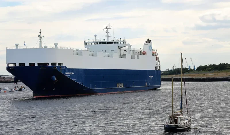VIKING ODESSA General Cargo IMO 9398876 photo 3