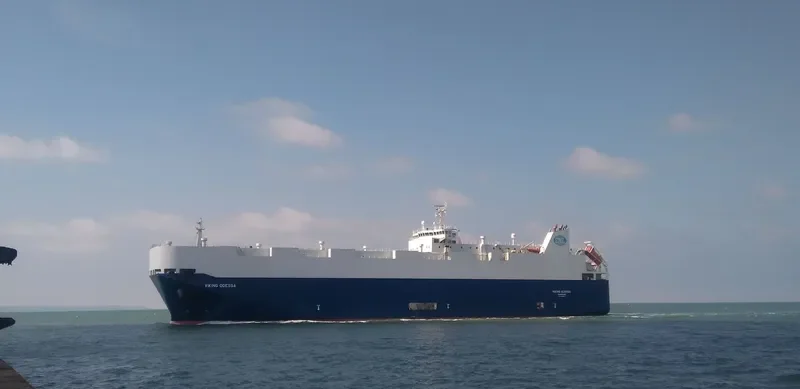 VIKING ODESSA General Cargo IMO 9398876 photo 8
