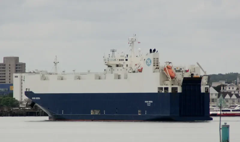 VIKING ODESSA General Cargo IMO 9398876 photo 9