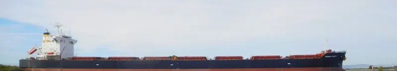 PRABHU SHAKTI Bulk Carrier IMO 9398981 photo 7