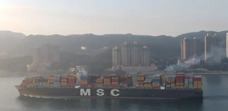 MSC DANIELA Container Ship IMO 9399002