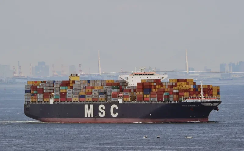 MSC DANIELA Container Ship IMO 9399002 photo 2