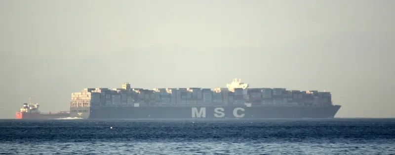 MSC DANIELA Container Ship IMO 9399002 photo 3