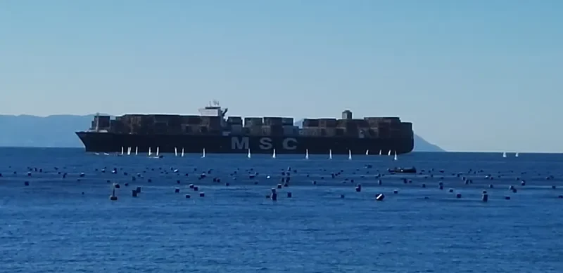 MSC BEATRICE Container Ship IMO 9399014