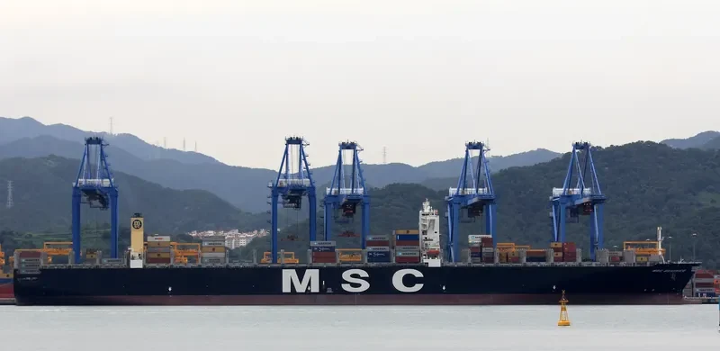MSC BEATRICE Container Ship IMO 9399014 photo 2