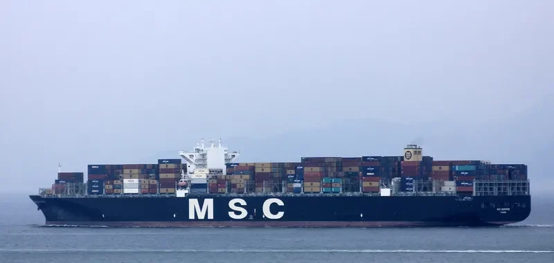 MSC BEATRICE Container Ship IMO 9399014 photo 7
